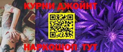 СК Тула