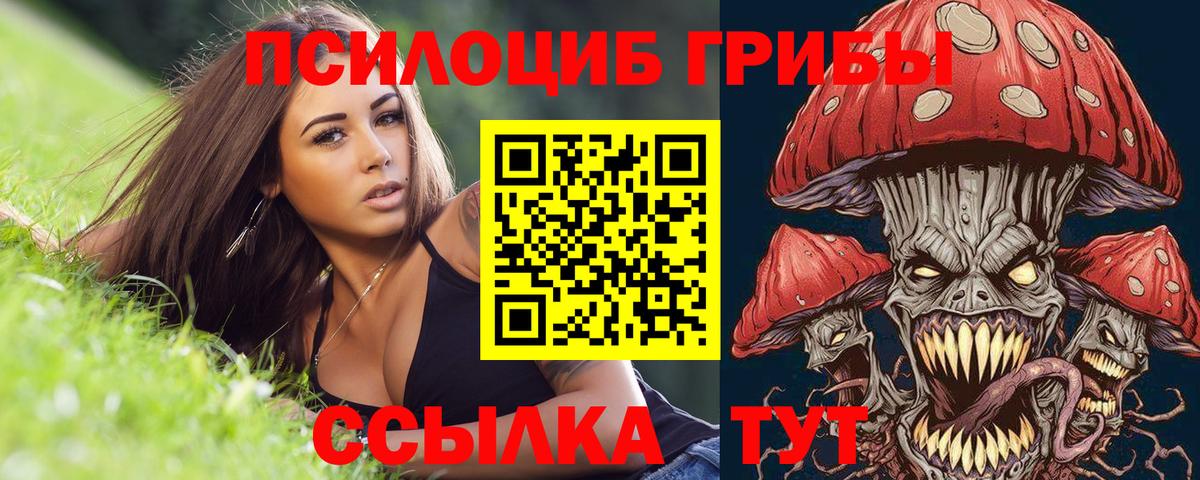 Галлюциногенные грибы ЛСД Мичуринск