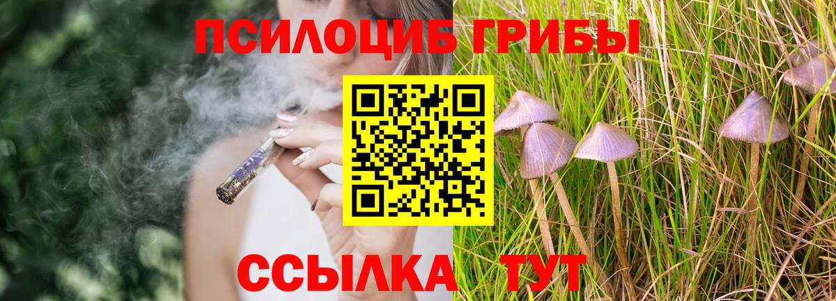 дарнет шоп  Вход с VPN  Галлюциногенные грибы мухоморы  Мичуринск  Псилоцибиновые грибы Psilocybe 